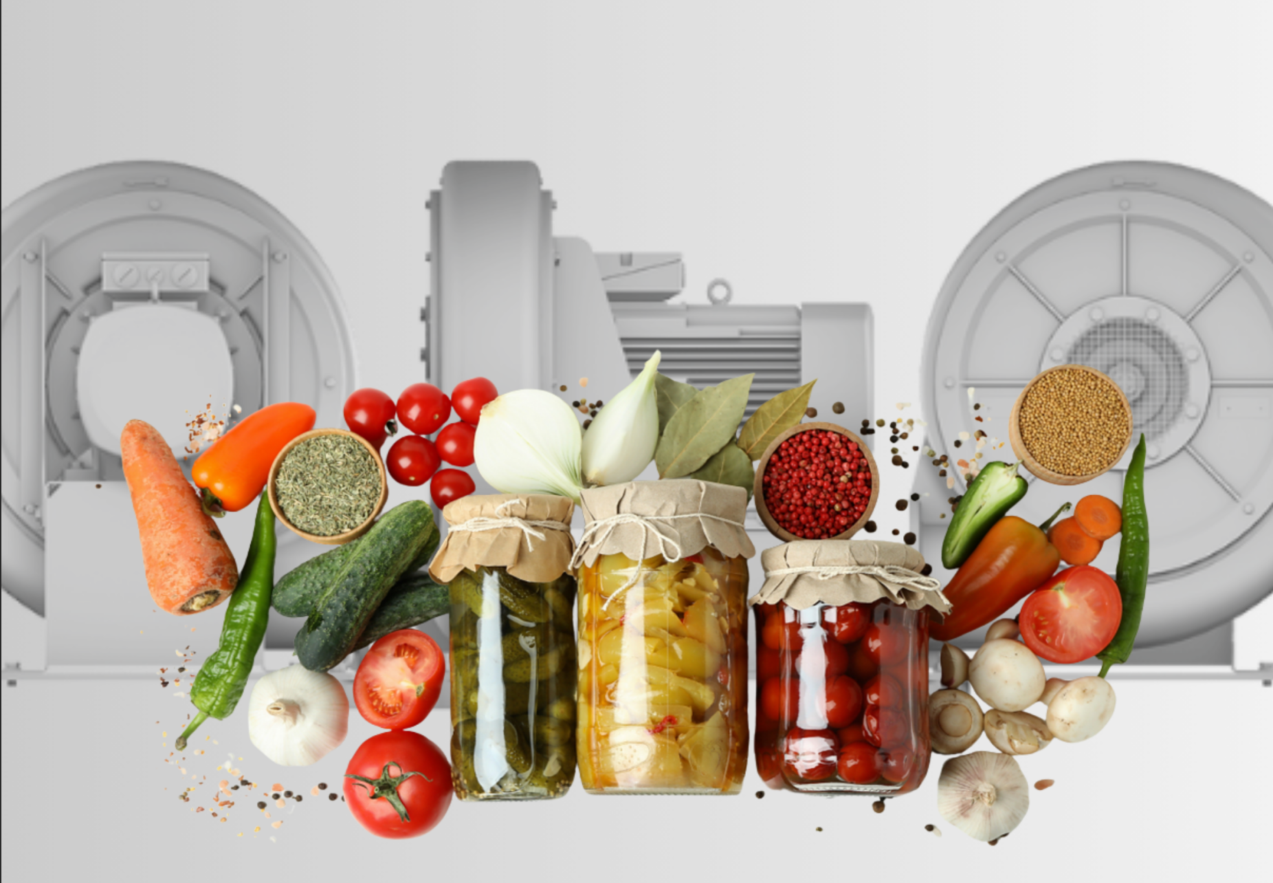 Вентиляторы Elektror: Сушка и охлаждение в пищепроме